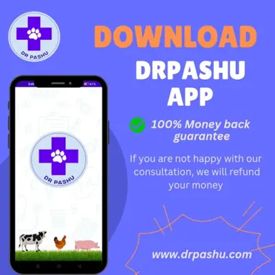 DrPashu - Video Call with Vet android App screenshot 4